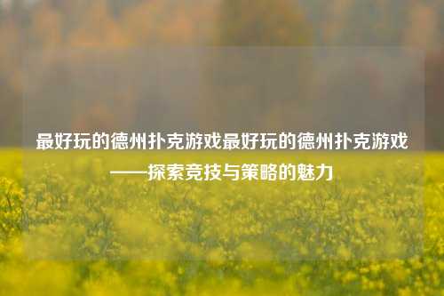 最好玩的德州扑克游戏最好玩的德州扑克游戏——探索竞技与策略的魅力