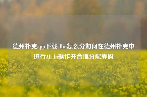 德州扑克app下载allin怎么分如何在德州扑克中进行All In操作并合理分配筹码