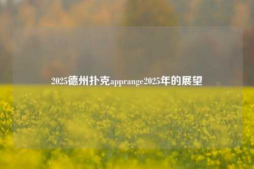 2025德州扑克apprange2025年的展望