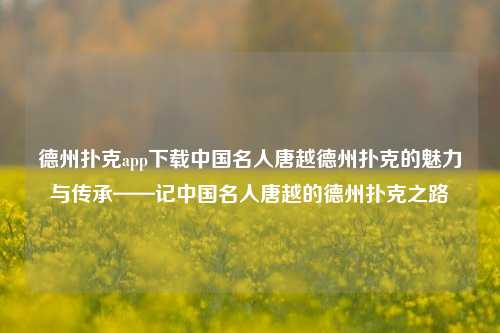 德州扑克app下载中国名人唐越德州扑克的魅力与传承——记中国名人唐越的德州扑克之路