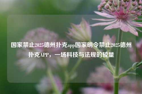 国家禁止2025德州扑克app国家明令禁止2025德州扑克APP，一场科技与法规的较量