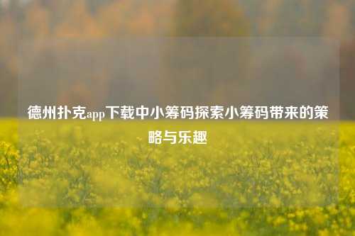 德州扑克app下载中小筹码探索小筹码带来的策略与乐趣