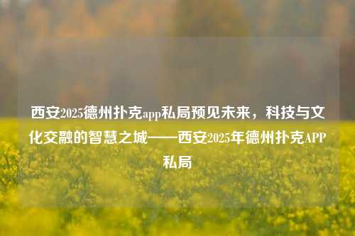 西安2025德州扑克app私局预见未来，科技与文化交融的智慧之城——西安2025年德州扑克APP私局
