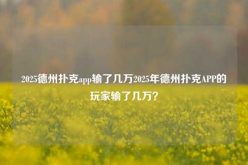 2025德州扑克app输了几万2025年德州扑克APP的玩家输了几万？