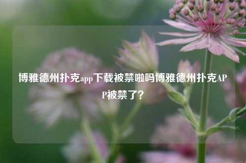 博雅德州扑克app下载被禁啦吗博雅德州扑克APP被禁了？