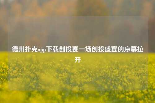 德州扑克app下载创投赛一场创投盛宴的序幕拉开