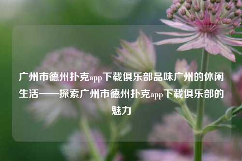 广州市德州扑克app下载俱乐部品味广州的休闲生活——探索广州市德州扑克app下载俱乐部的魅力