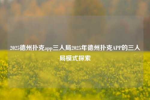 2025德州扑克app三人局2025年德州扑克APP的三人局模式探索