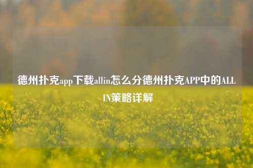 德州扑克app下载allin怎么分德州扑克APP中的ALL IN策略详解