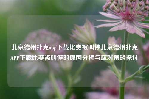 北京德州扑克app下载比赛被叫停北京德州扑克APP下载比赛被叫停的原因分析与应对策略探讨