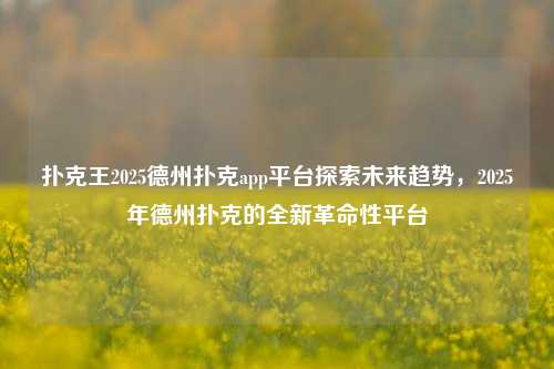 扑克王2025德州扑克app平台探索未来趋势，2025年德州扑克的全新革命性平台