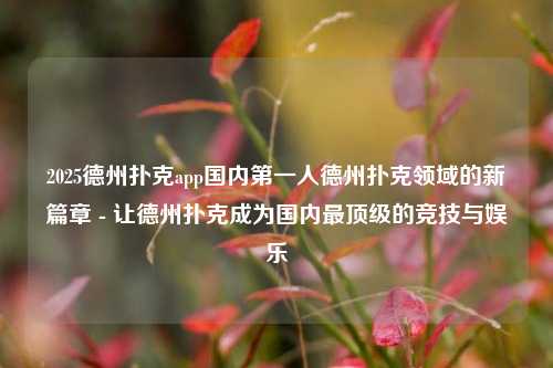2025德州扑克app国内第一人德州扑克领域的新篇章 - 让德州扑克成为国内最顶级的竞技与娱乐
