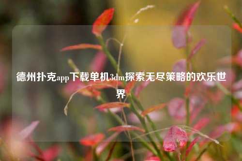 德州扑克app下载单机3dm探索无尽策略的欢乐世界