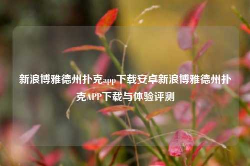 新浪博雅德州扑克app下载安卓新浪博雅德州扑克APP下载与体验评测