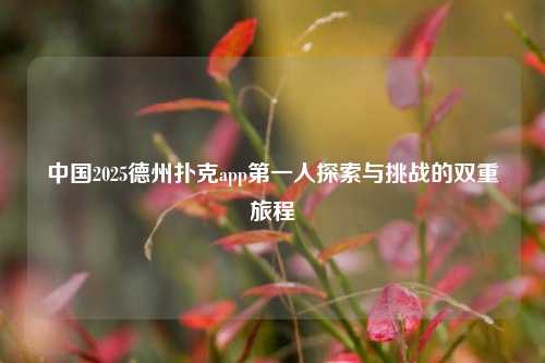 中国2025德州扑克app第一人探索与挑战的双重旅程