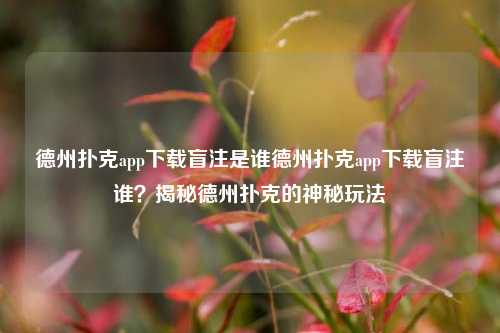 德州扑克app下载盲注是谁德州扑克app下载盲注谁？揭秘德州扑克的神秘玩法