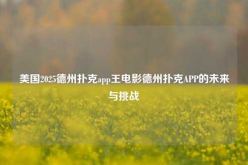 美国2025德州扑克app王电影德州扑克APP的未来与挑战