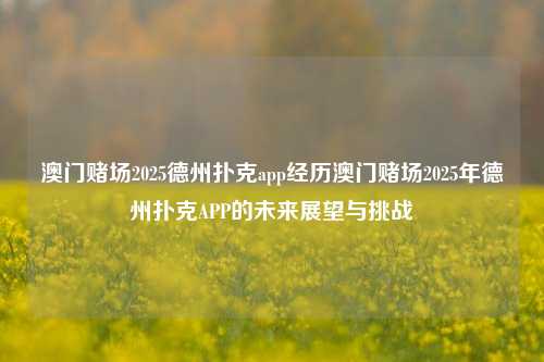 澳门赌场2025德州扑克app经历澳门赌场2025年德州扑克APP的未来展望与挑战