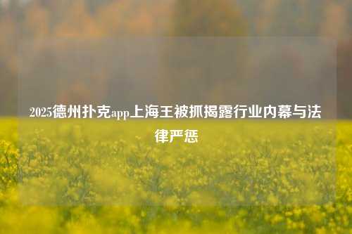 2025德州扑克app上海王被抓揭露行业内幕与法律严惩