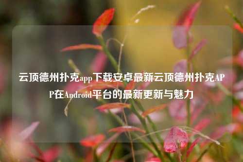 云顶德州扑克app下载安卓最新云顶德州扑克APP在Android平台的最新更新与魅力