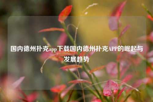 国内德州扑克app下载国内德州扑克APP的崛起与发展趋势