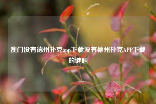澳门没有德州扑克app下载没有德州扑克APP下载的谜题