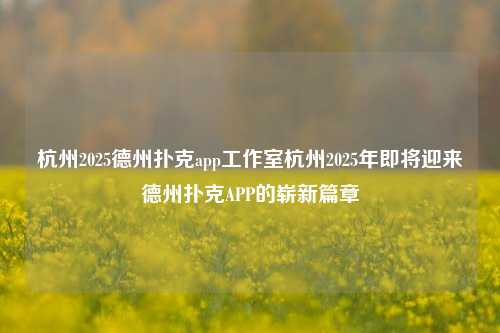 杭州2025德州扑克app工作室杭州2025年即将迎来德州扑克APP的崭新篇章