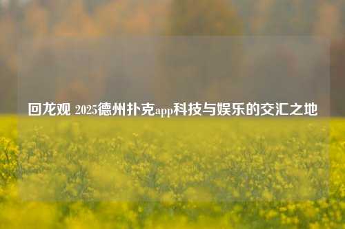 回龙观 2025德州扑克app科技与娱乐的交汇之地