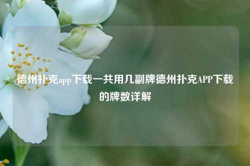 德州扑克app下载一共用几副牌德州扑克APP下载的牌数详解