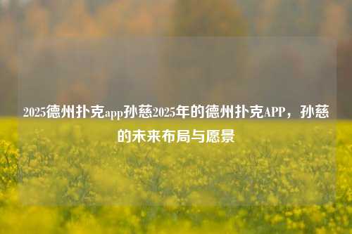 2025德州扑克app孙慈2025年的德州扑克APP，孙慈的未来布局与愿景