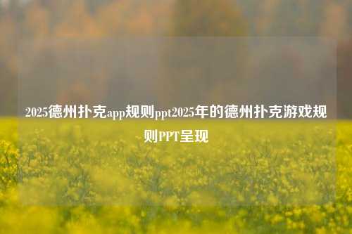 2025德州扑克app规则ppt2025年的德州扑克游戏规则PPT呈现