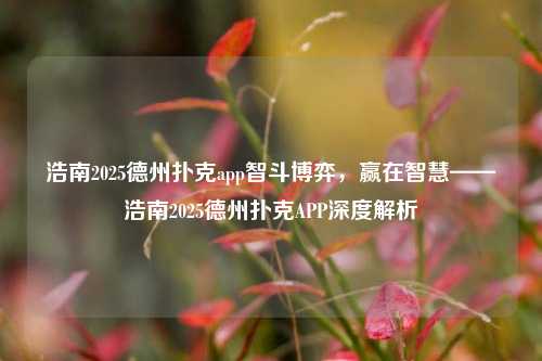 浩南2025德州扑克app智斗博弈，赢在智慧——浩南2025德州扑克APP深度解析