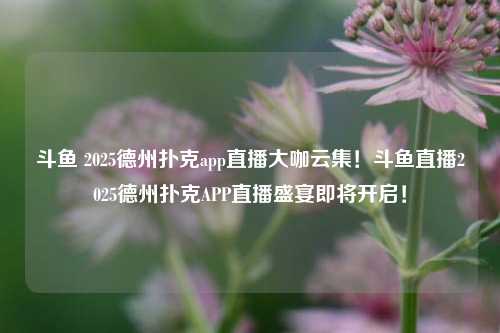斗鱼 2025德州扑克app直播大咖云集！斗鱼直播2025德州扑克APP直播盛宴即将开启！