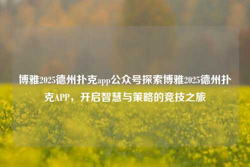 博雅2025德州扑克app公众号探索博雅2025德州扑克APP，开启智慧与策略的竞技之旅