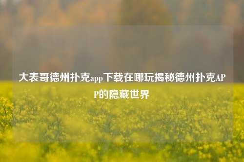 大表哥德州扑克app下载在哪玩揭秘德州扑克APP的隐藏世界