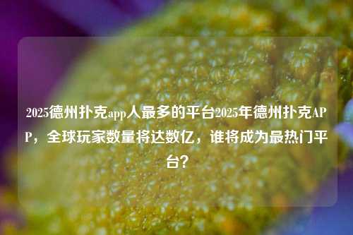 2025德州扑克app人最多的平台2025年德州扑克APP，全球玩家数量将达数亿，谁将成为最热门平台？