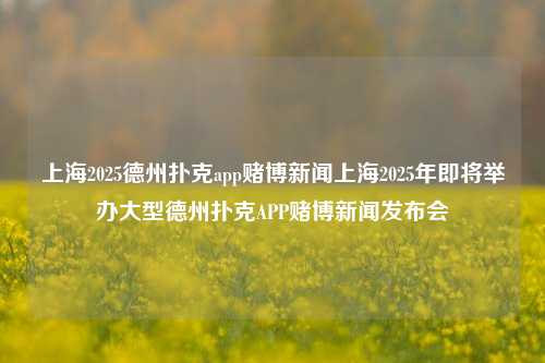 上海2025德州扑克app赌博新闻上海2025年即将举办大型德州扑克APP赌博新闻发布会