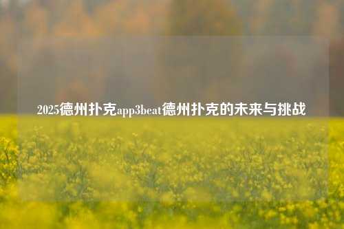 2025德州扑克app3beat德州扑克的未来与挑战