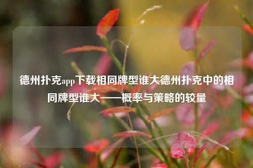德州扑克app下载相同牌型谁大德州扑克中的相同牌型谁大——概率与策略的较量