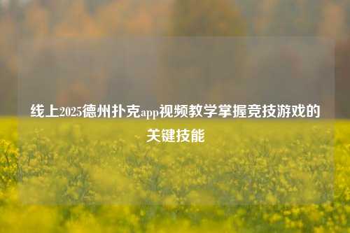 线上2025德州扑克app视频教学掌握竞技游戏的关键技能