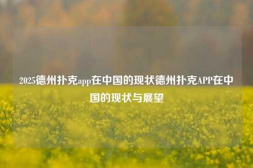2025德州扑克app在中国的现状德州扑克APP在中国的现状与展望