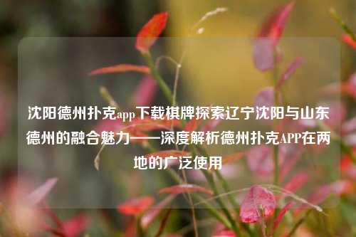 沈阳德州扑克app下载棋牌探索辽宁沈阳与山东德州的融合魅力——深度解析德州扑克APP在两地的广泛使用