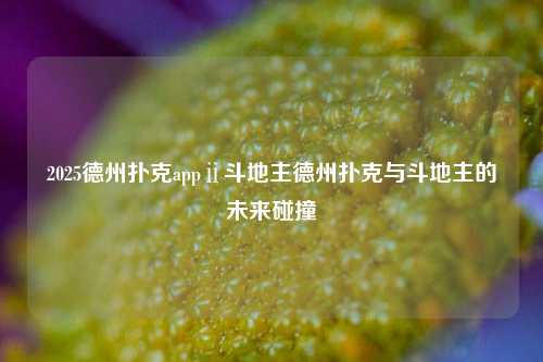 2025德州扑克appⅱ斗地主德州扑克与斗地主的未来碰撞