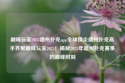 巅峰玩家2025德州扑克app全球顶尖德州扑克高手齐聚巅峰玩家2025！揭秘2025年德州扑克赛事的巅峰时刻