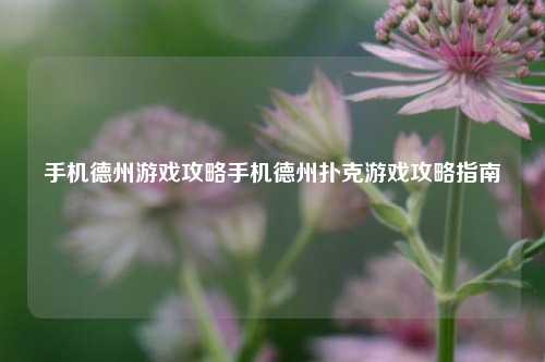手机德州游戏攻略手机德州扑克游戏攻略指南
