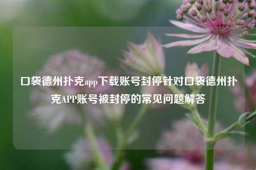 口袋德州扑克app下载账号封停针对口袋德州扑克APP账号被封停的常见问题解答