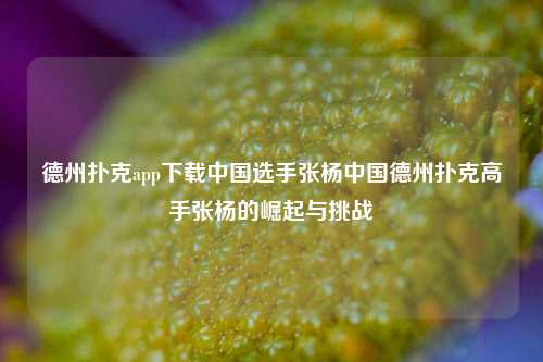 德州扑克app下载中国选手张杨中国德州扑克高手张杨的崛起与挑战