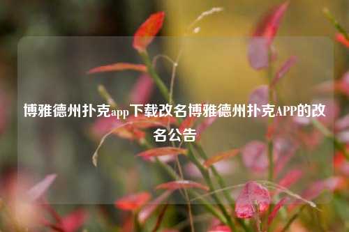 博雅德州扑克app下载改名博雅德州扑克APP的改名公告
