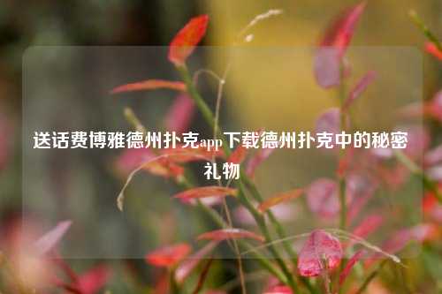送话费博雅德州扑克app下载德州扑克中的秘密礼物