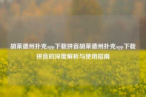胡莱德州扑克app下载拼音胡莱德州扑克app下载拼音的深度解析与使用指南